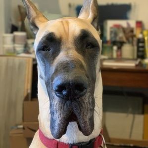 Meet your Posher, Mark